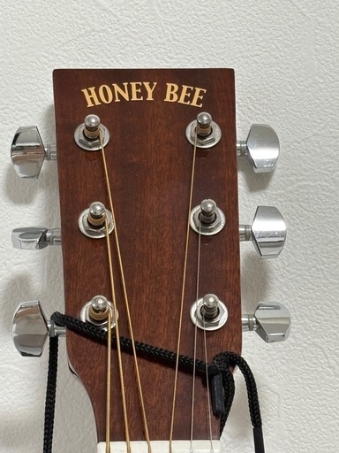 honey bee アコースティックギターハニービー (未來) 天文館通の
