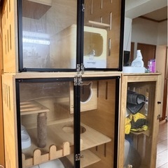 木製の猫ケージ（最終値下げ)の画像