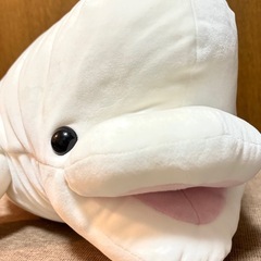 シロイルカ ベルーガ ぬいぐるみ シーパラダイス おもちゃの画像