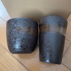 タンブラー、焼酎カップの画像