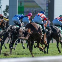 競馬がお好きな方来てね。LINEグルチャ😅　