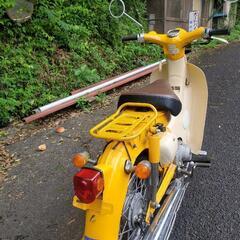 リトルカブ－セル付きの画像