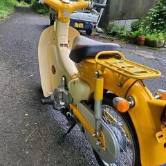 リトルカブ－セル付きの画像
