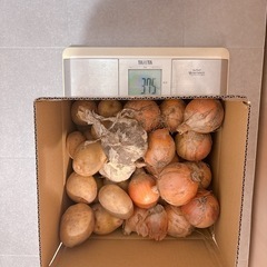 無農薬 じゃがいも ニンニク 玉ねぎ 3.75kg
