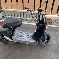スズキちょい乗りの画像