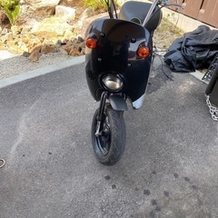 スズキちょい乗りの画像