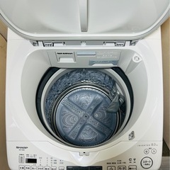 ✨2024年製✨ シャープ 電気洗濯機乾燥機 8kg ES-TX8H-Wの画像