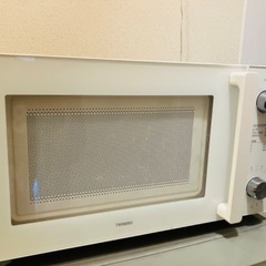 TWINBIRD 500w/600w