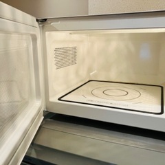 TWINBIRD 500w/600wの画像