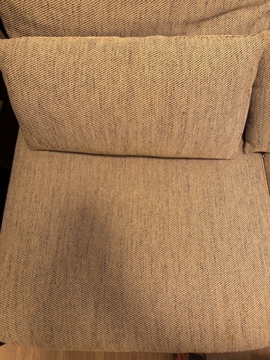 IKEA S&Ouml;DERHAMNソーデルハムン　2人掛け　ソファー