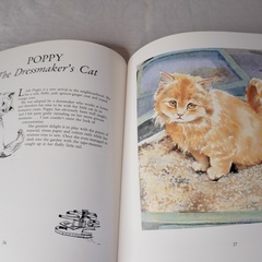 猫の絵本の画像