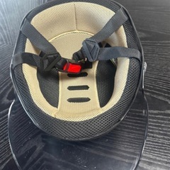 ヤール
の画像