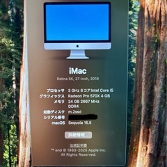 iMac 2019 27㌅ 5K Core i5 メモリ16GB FD1TB＋外付けm.2SSD512GBの画像