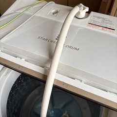 2019年式TOSHIBA洗濯機　の画像