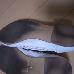 さしあげます　ホワイトメッシュ23cmの画像