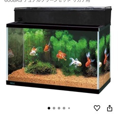 ⭐️GEXマリーナ600上部フィルター付き②⭐️の画像
