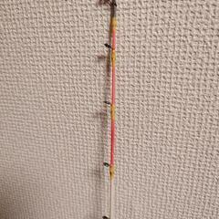 タコ釣りで使ってたロッド、釣竿の画像