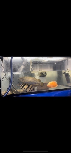 1200×600×600アクリル水槽フルセット