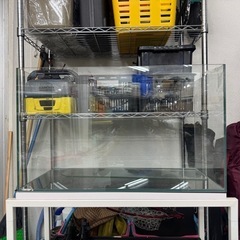 60cm 水槽の画像