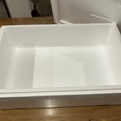 大きめ　発泡スチロールの箱　蓋付きの画像