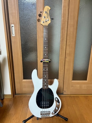 スティングレイRAY34