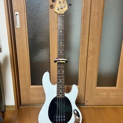 スティングレイRAY34の画像