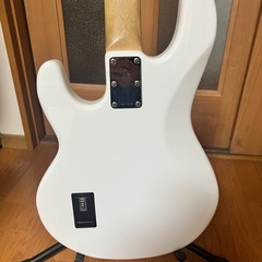 スティングレイRAY34の画像
