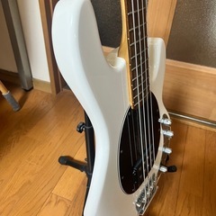 スティングレイRAY34の画像