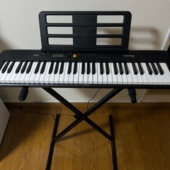 Casiotone 電子キーボード(決まりました)