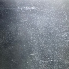 ゾウリムシの画像