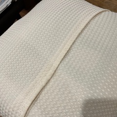 クッション　2個　ペット用に！の画像