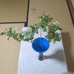 青空色の花瓶の画像