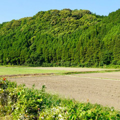 農地転用など農地に関するお手続き承ります！