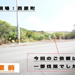 【草刈り・伐採・清掃承っております！】※作業員は有資格者で…