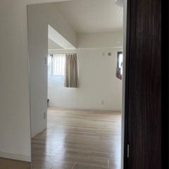 【オシャレ】フィルムミラー特大