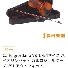 ヴァイオリン　バイオリン　本体　付属品込みの画像