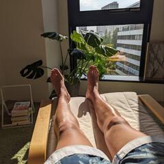 ひらかたパークのプールに行きませんか？