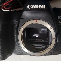 Canon 6Dmark2 カメラの画像