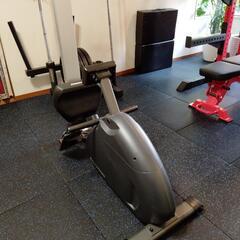 SCHWINN(シュウイン)Rower(ローワー)ローイングマシンの画像
