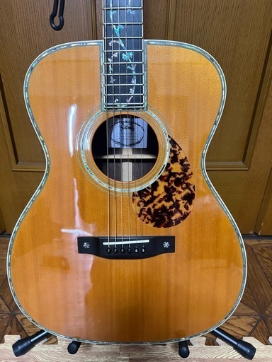 Headway MTO-18 ツリー・オブ・ライフ　ハードケース付き HEADWAY MTO-18|ドルフィンギターズ