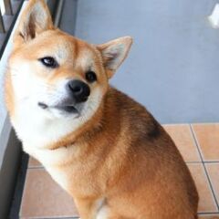 地元のお友達募集