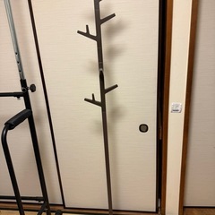 帽子掛け の画像