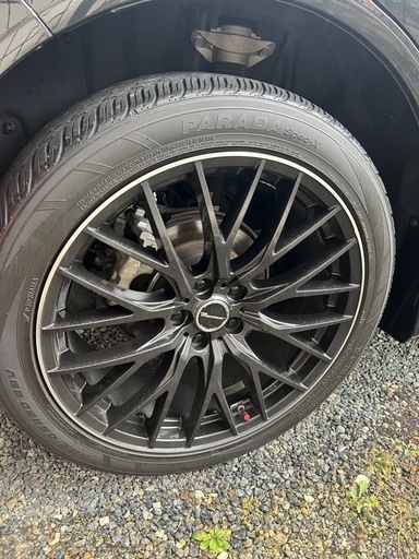 ホットスタッフ　プレシャス HM-1