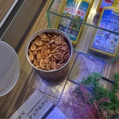 初心者用アクアリウムセットの画像