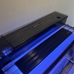 初心者用アクアリウムセットの画像