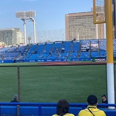 8月1日(金)   神宮球場 - 新宿区