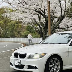 BMW 320i Mスポーツ パッケージ 車検たっぷり！の画像