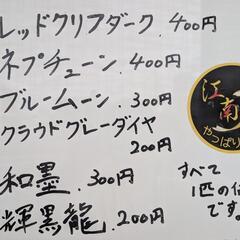 無人販売　やっぱりメダカ　20250709