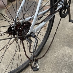 自転車　ホワイト　1台の画像
