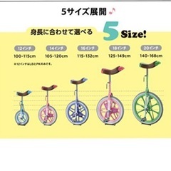 ブリヂストン(BRIDGESTONE) スケアクロウ 子供用 一輪車
の画像